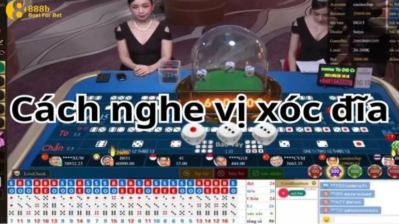 Tổng hợp các cách nghe vị xóc đĩa online tăng cơ hội chiến thắng